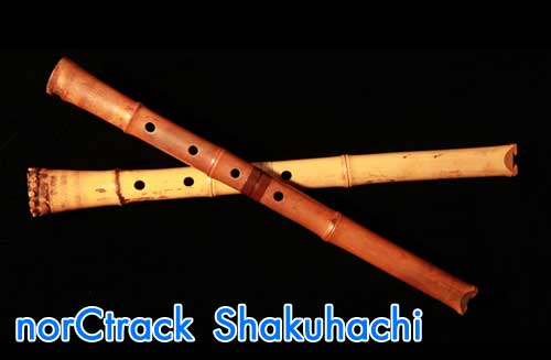 enigma flute